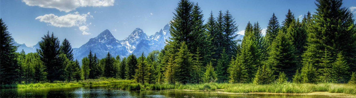 2000年8月被國(guó)家機(jī)械工業(yè)局《中國(guó)汽車(chē)報(bào)》推薦為氣門(mén)彈簧生產(chǎn)行業(yè)五強(qiáng)之一